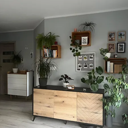 Apartman Jagodno *